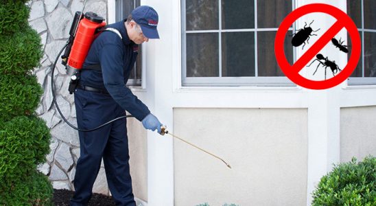 Birecik Fare İlaçlama böcek ilaçlama ve haşere kontrolü — ilaclama-tr.com